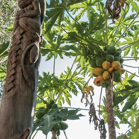 Spiti Papaya Nyaraló Tertsa